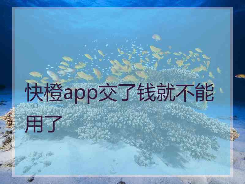 快橙app交了钱就不能用了