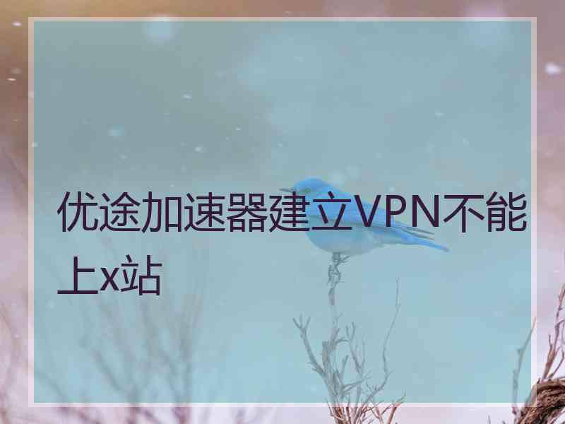 优途加速器建立VPN不能上x站