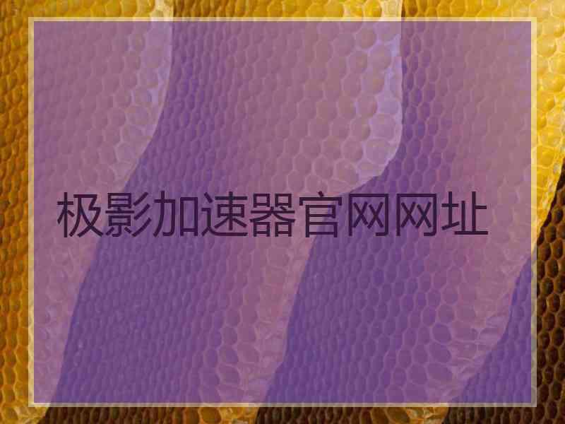 极影加速器官网网址