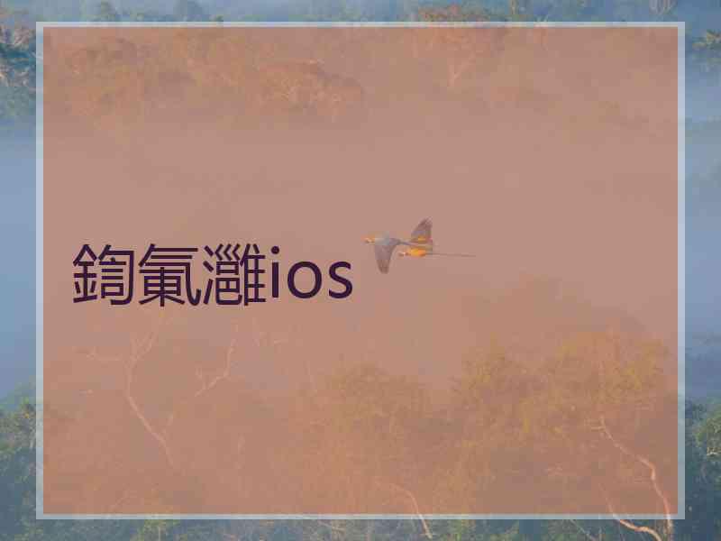 鍧氭灉ios