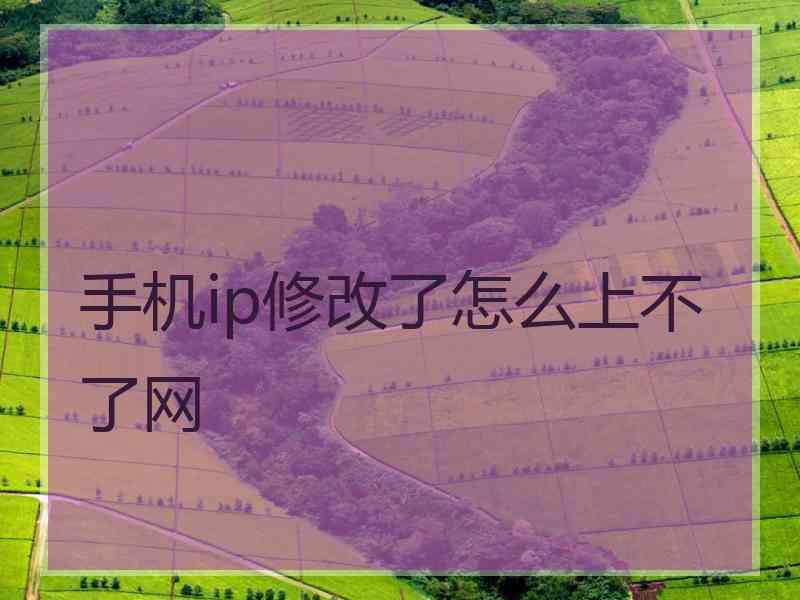 手机ip修改了怎么上不了网