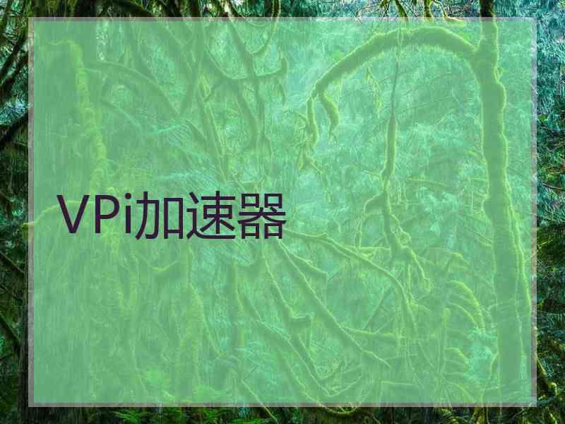 VPi加速器