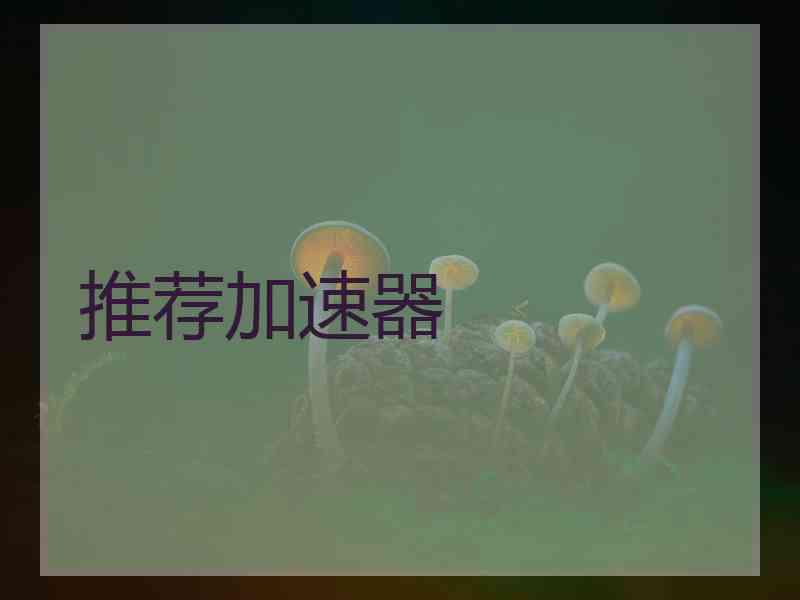 推荐加速器