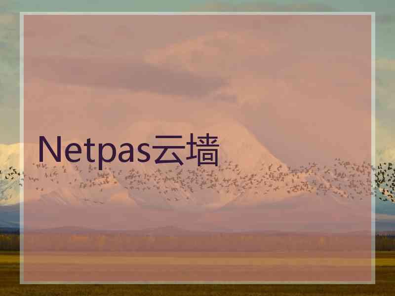 Netpas云墙