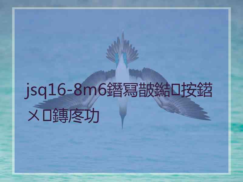 jsq16-8m6鐕冩皵鐑按鍣ㄨ鏄庝功