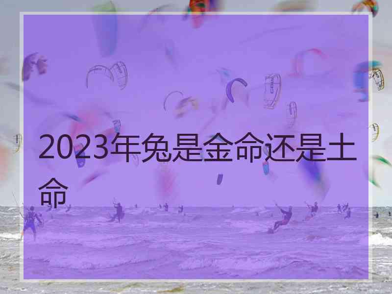 2023年兔是金命还是土命