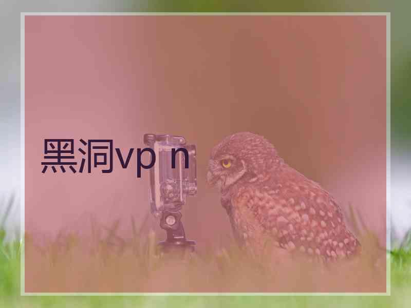 黑洞vp n