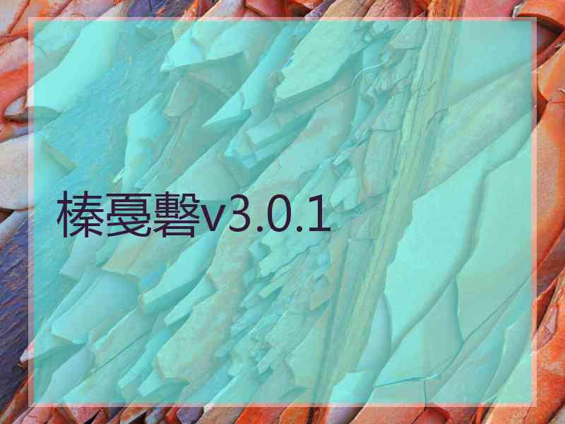 榛戞礊v3.0.1