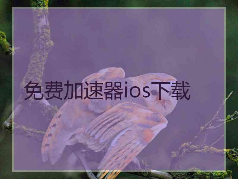 免费加速器ios下载