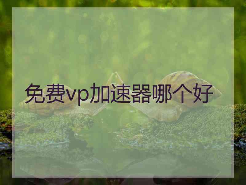 免费vp加速器哪个好