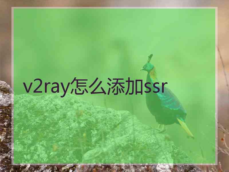 v2ray怎么添加ssr