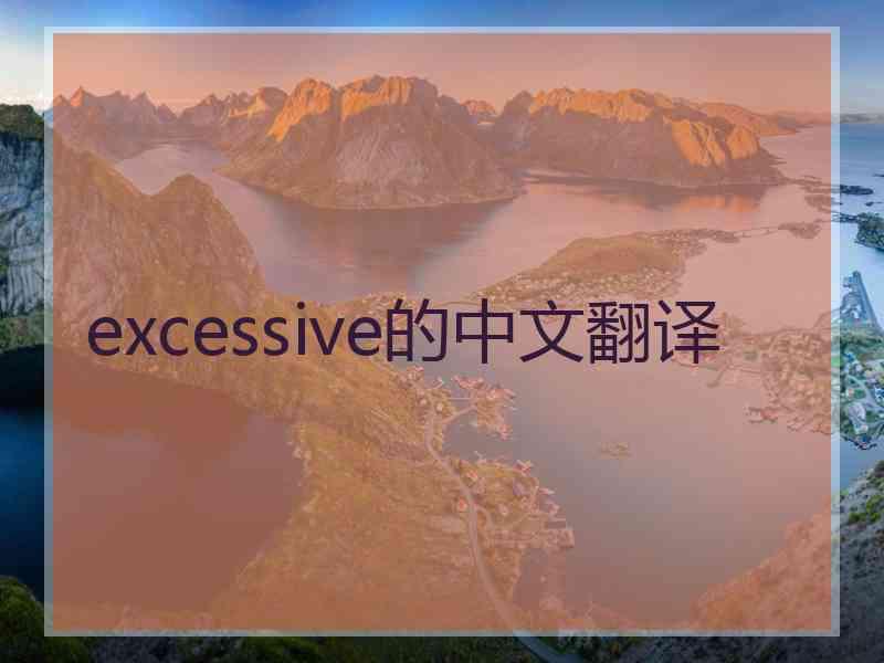 excessive的中文翻译