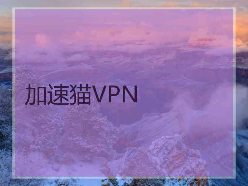 加速猫VPN