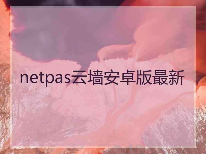 netpas云墙安卓版最新