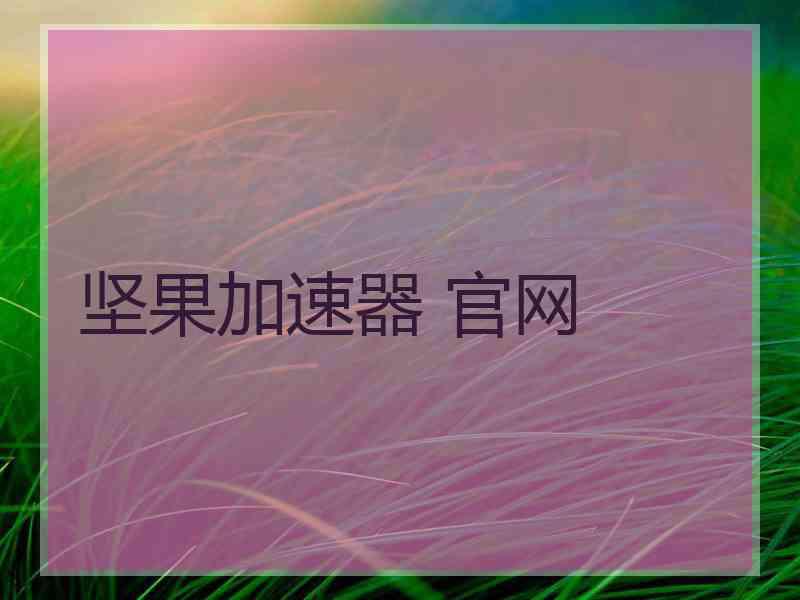 坚果加速器 官网