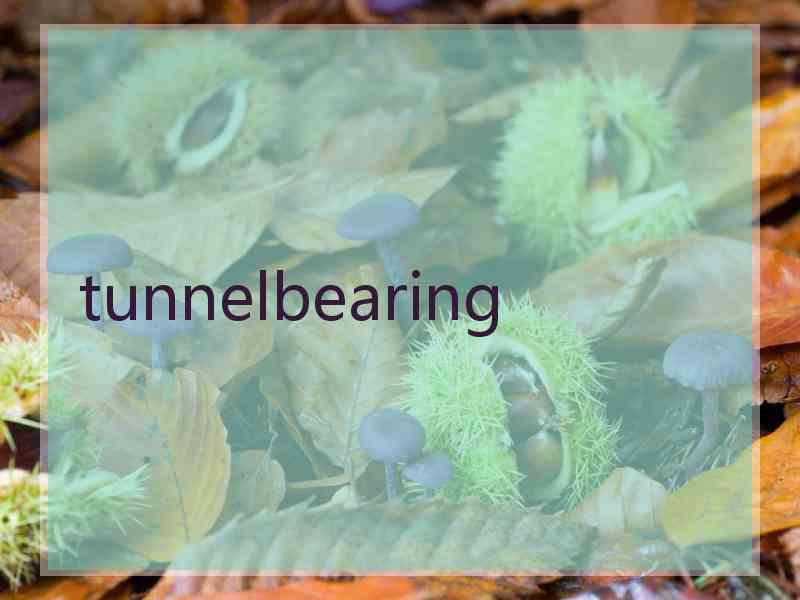 tunnelbearing