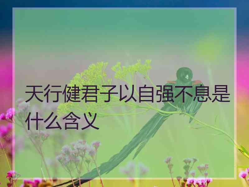 天行健君子以自强不息是什么含义