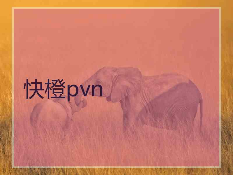 快橙pvn