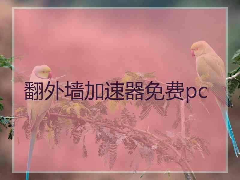 翻外墙加速器免费pc