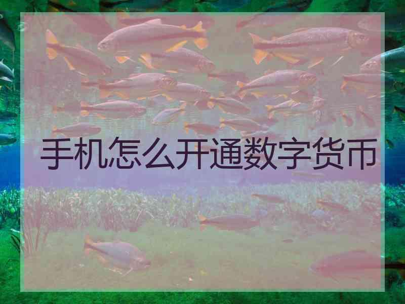 手机怎么开通数字货币