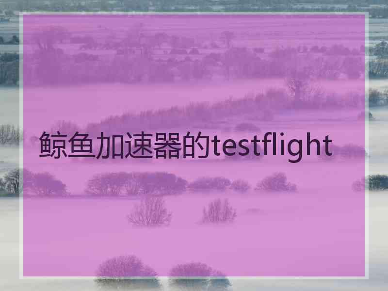 鲸鱼加速器的testflight