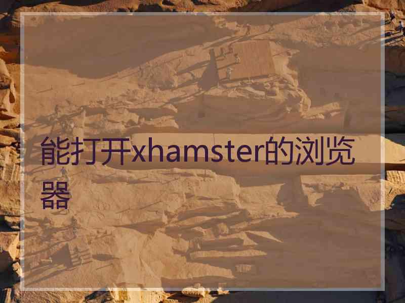 能打开xhamster的浏览器