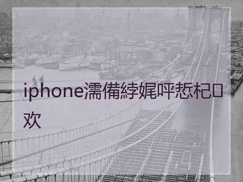 iphone濡備綍娓呯悊杞欢