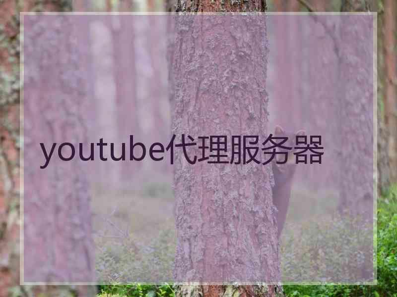 youtube代理服务器