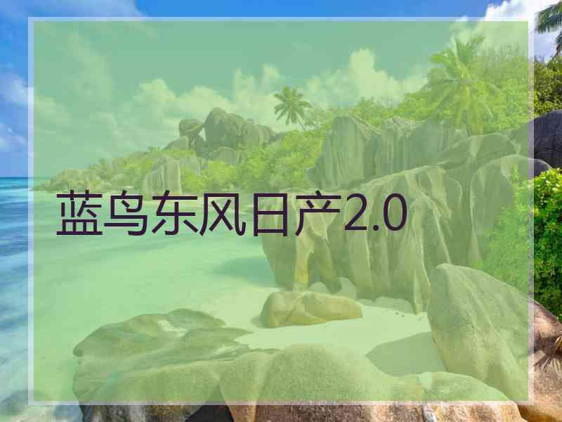 蓝鸟东风日产2.0