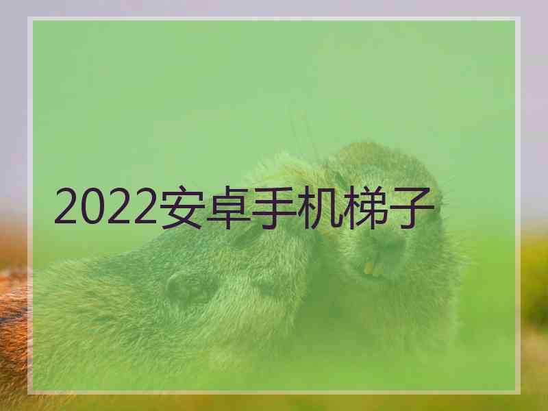 2022安卓手机梯子