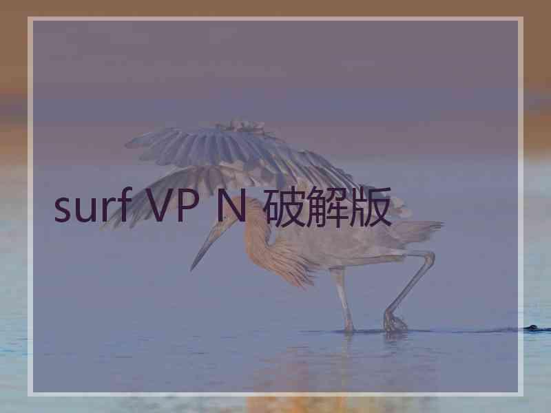 surf VP N 破解版