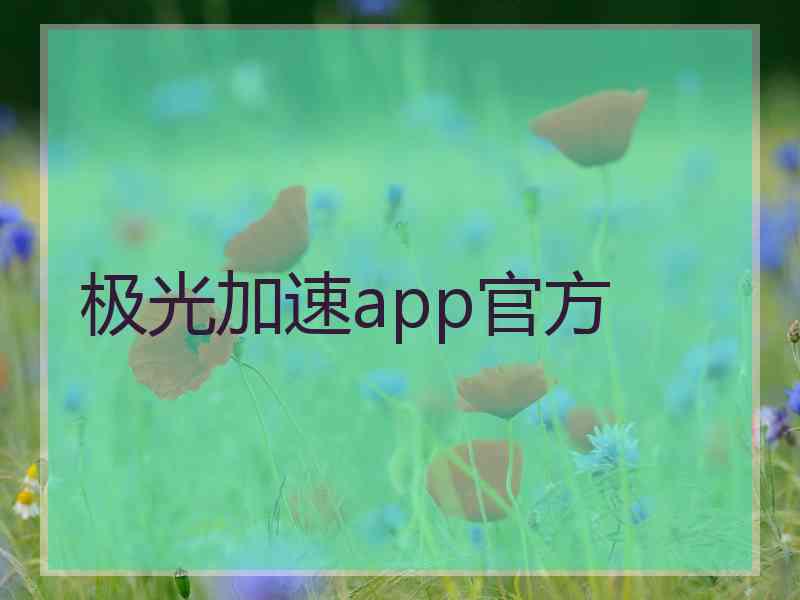 极光加速app官方