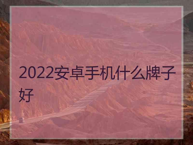 2022安卓手机什么牌子好