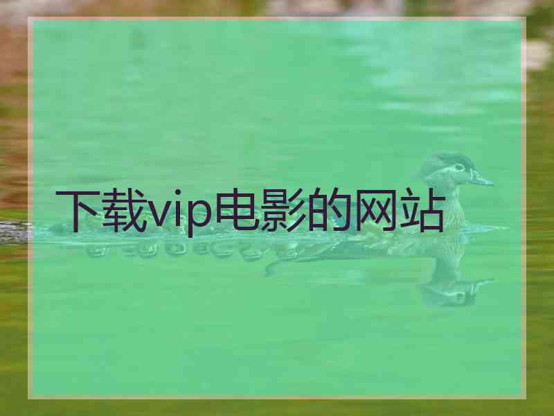 下载vip电影的网站