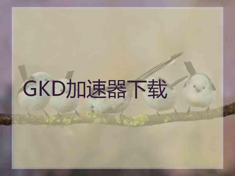 GKD加速器下载