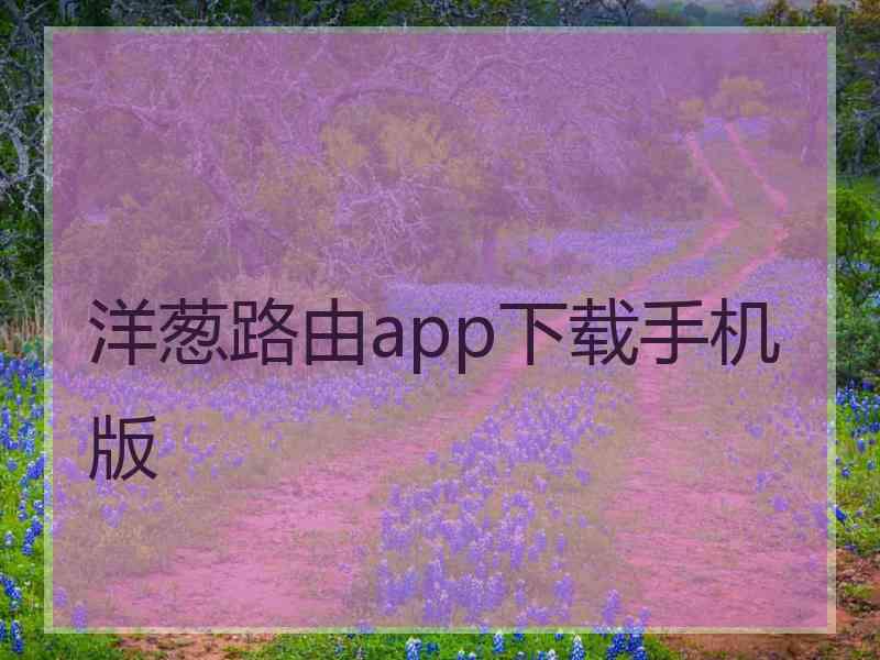 洋葱路由app下载手机版