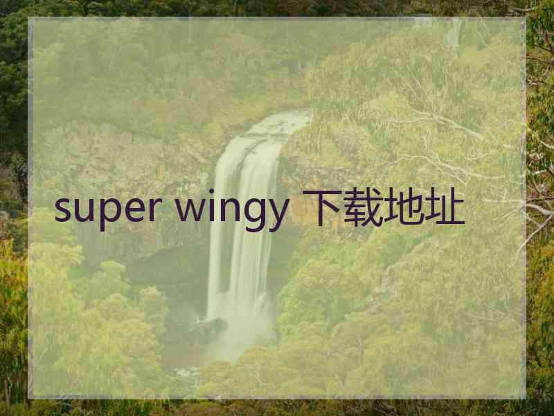 super wingy 下载地址