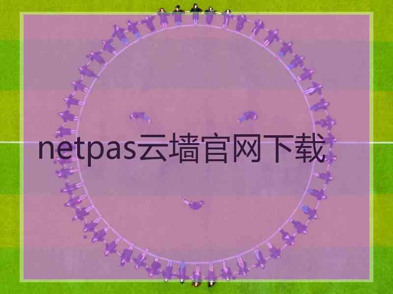 netpas云墙官网下载