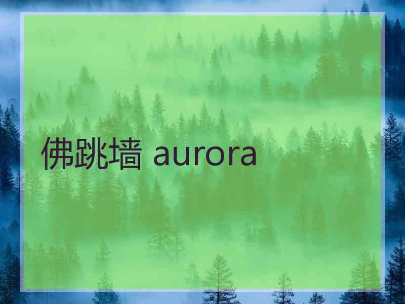 佛跳墙 aurora