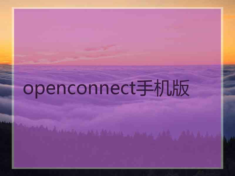 openconnect手机版