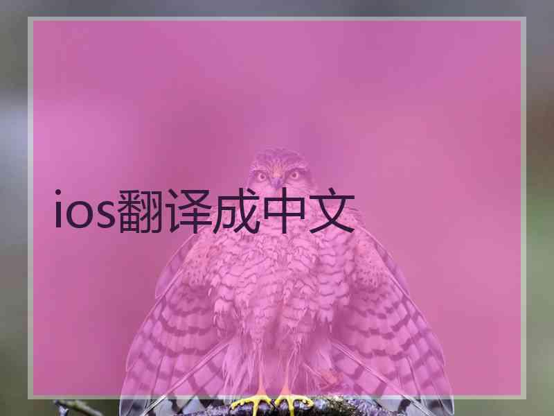 ios翻译成中文