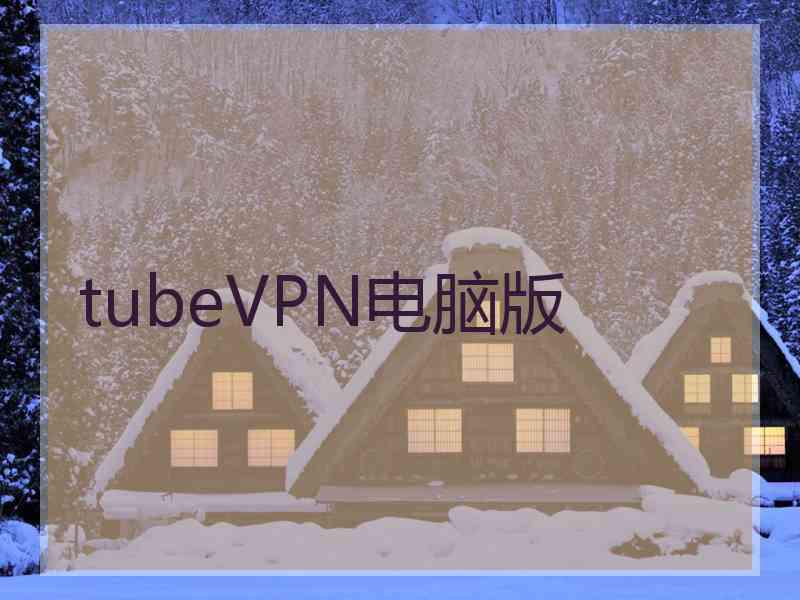 tubeVPN电脑版