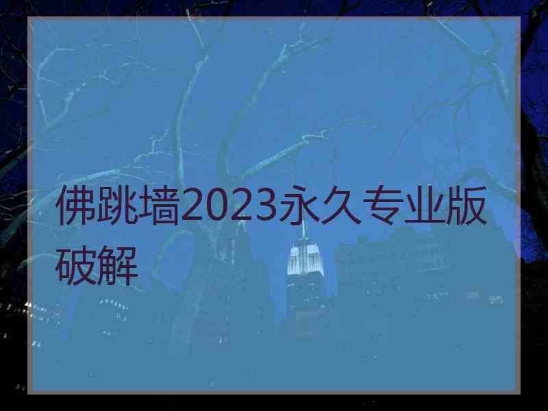 佛跳墙2023永久专业版破解