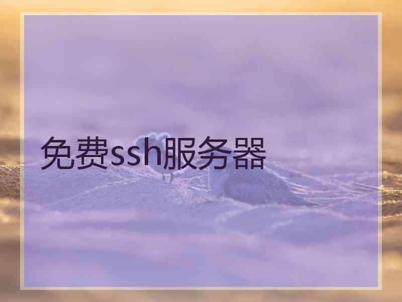 免费ssh服务器