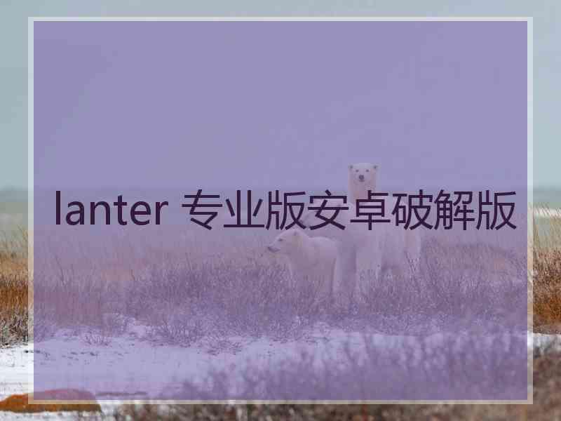 lanter 专业版安卓破解版