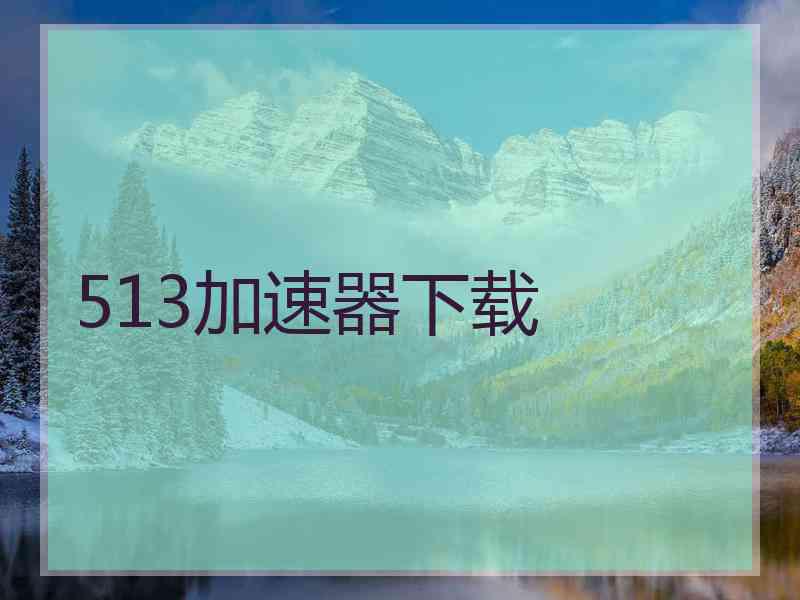 513加速器下载