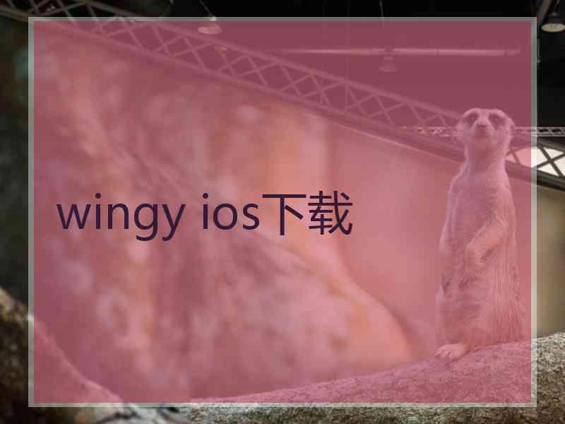 wingy ios下载