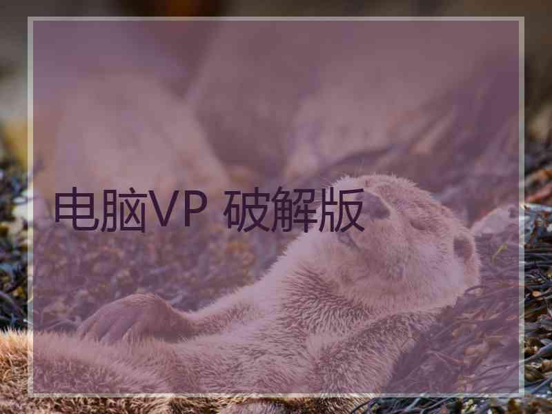 电脑VP 破解版