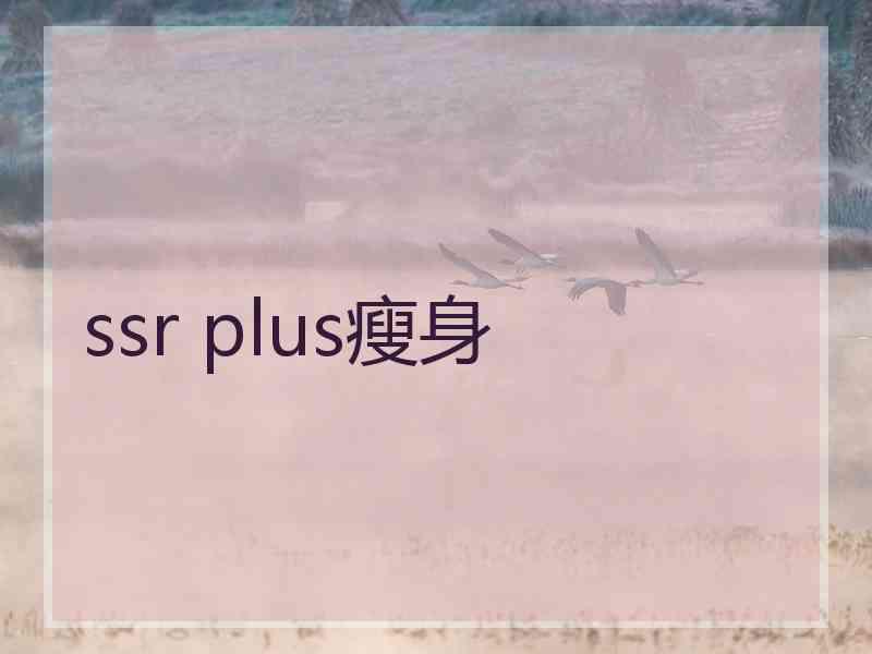 ssr plus瘦身