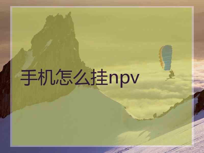 手机怎么挂npv